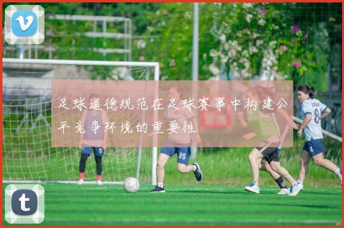 足球道德规范在足球赛事中构建公平竞争环境的重要性