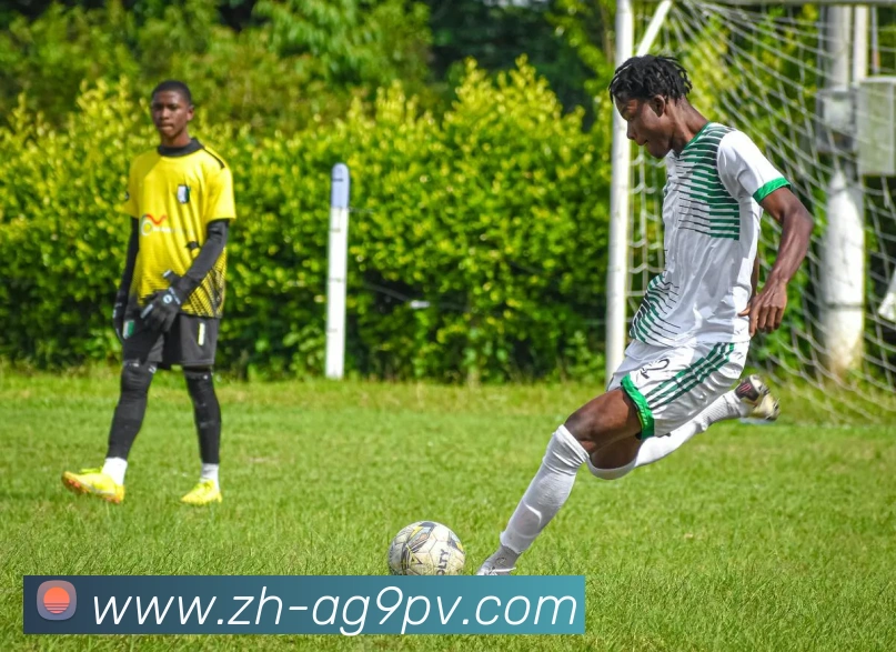 ag9游会服务体系