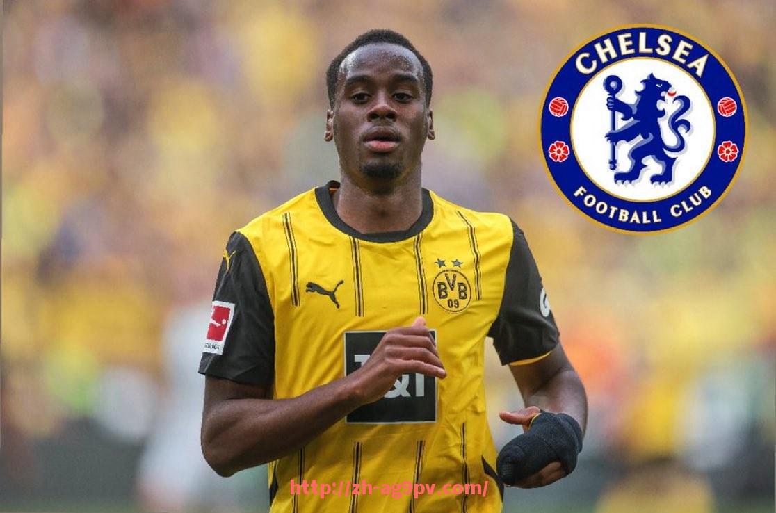 ag9游会-法甲外援市场需求及未来发展趋势预测