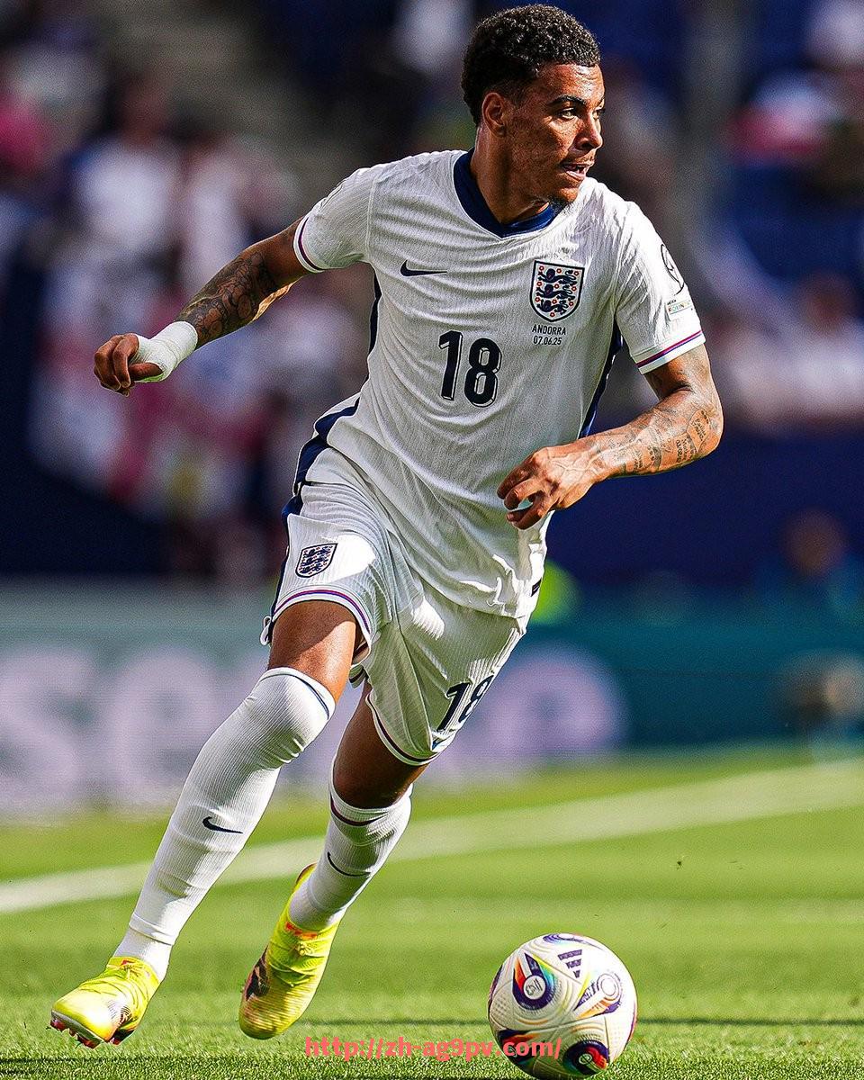 ag9游会-世俱杯官方直播时间安排及高清直播入口